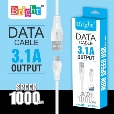 HIGH SPEED 3.1 AMP DATA CABLE